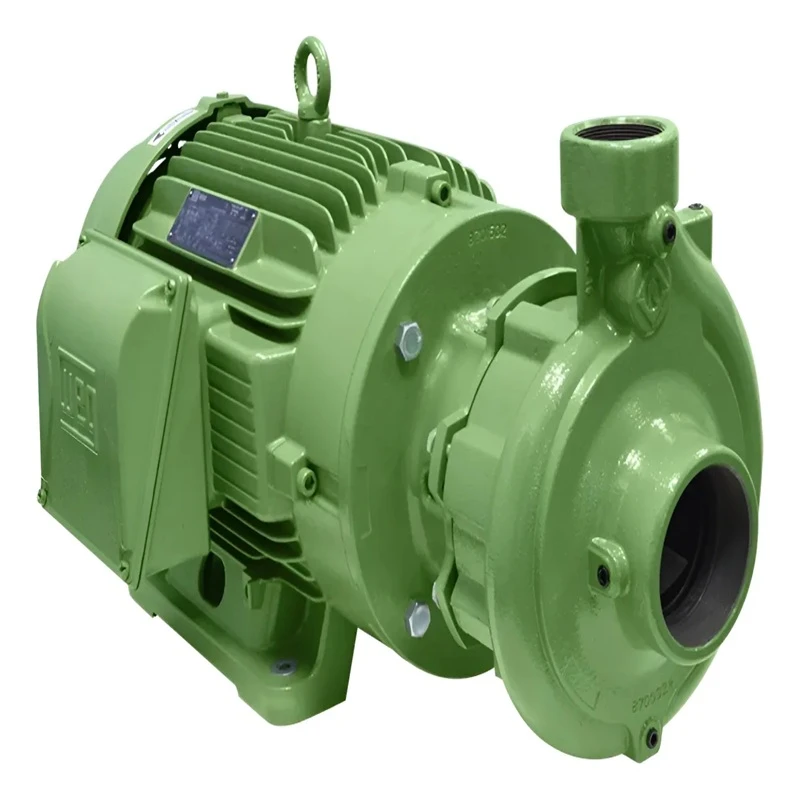 BOMBA 065-040-200 R 15CV TRIFÁSICA 2P 60 3/6 CHR ( ROTOR 189MM ) SCHNEIDER