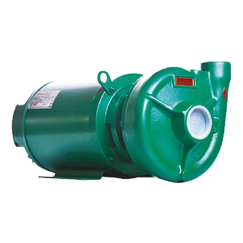 BOMBA THS-18 3.0 CV TRIFÁSICO IP21 ( ROTOR 128 ) THEBE