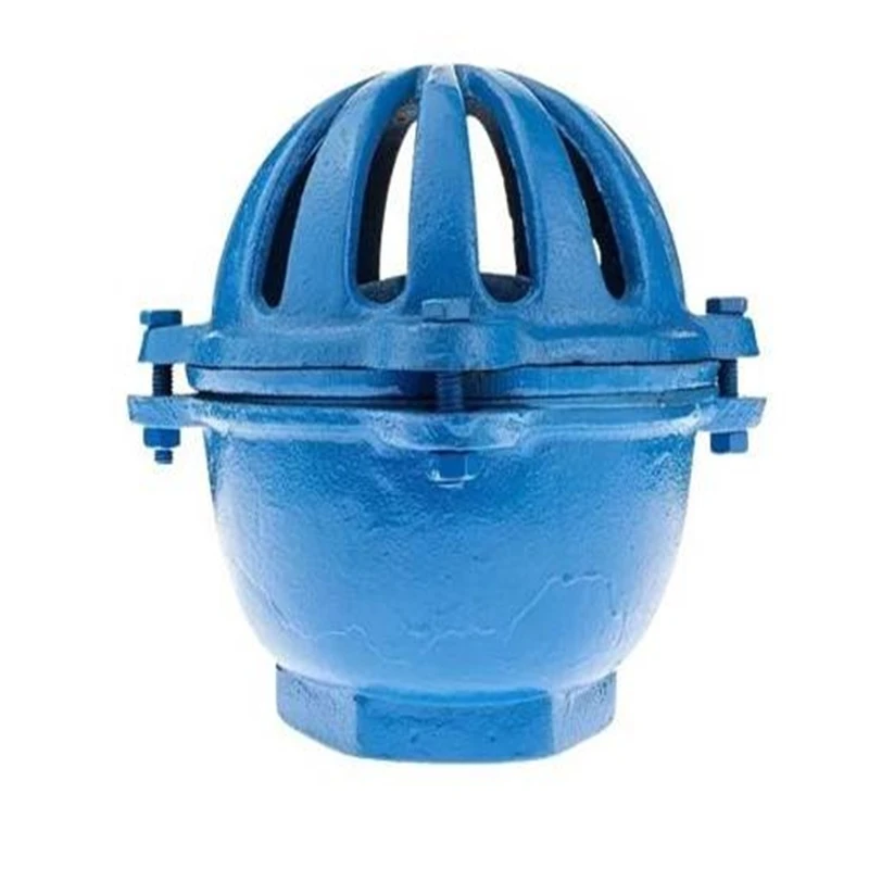 VÁLVULA PE FERRO FUNDIDO DN2'' TIPO CEBOLA BOMAJET